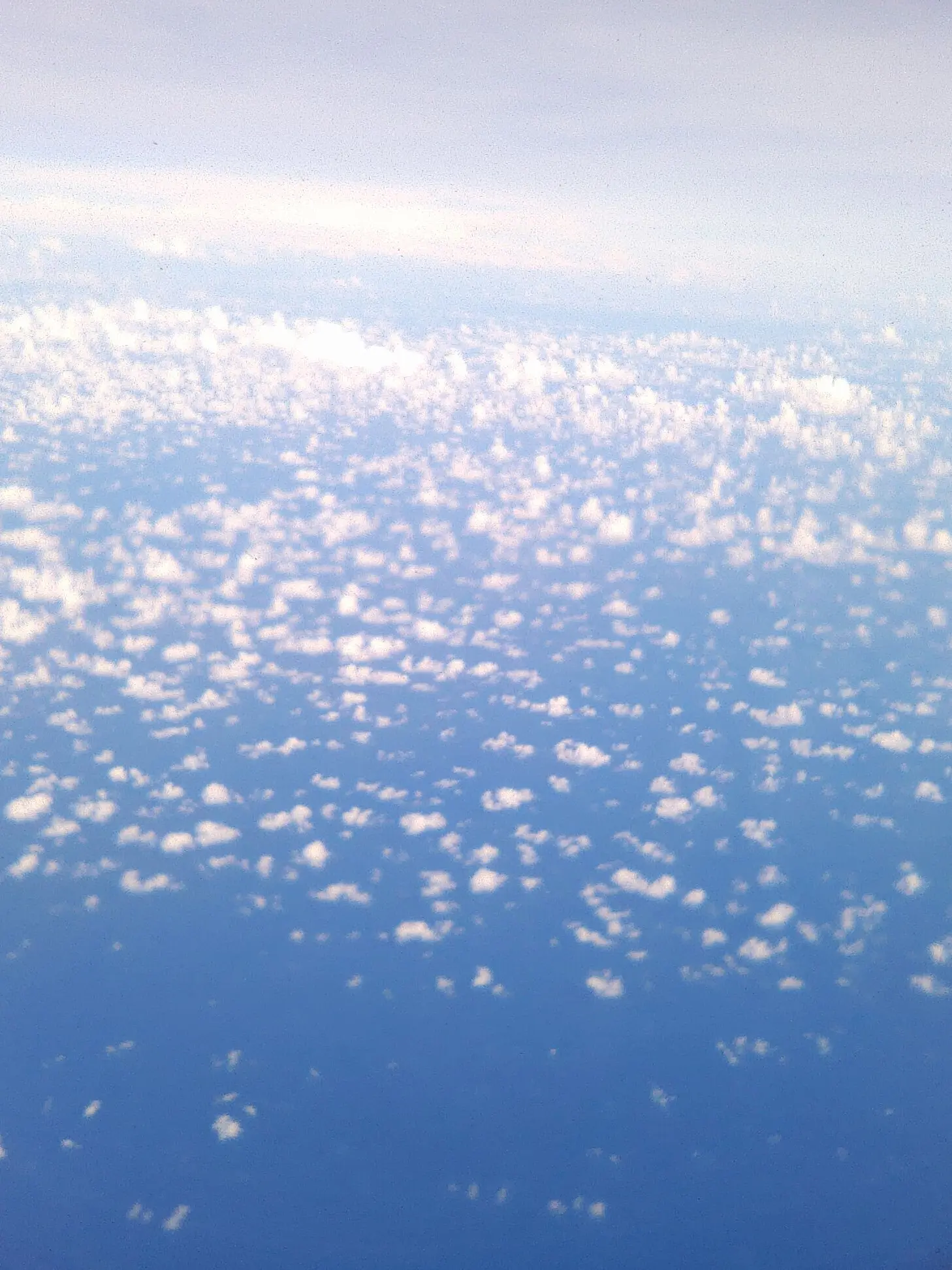 OutlawMeter7151의 カンヒュ学園！旧国の先輩たちに愛される！