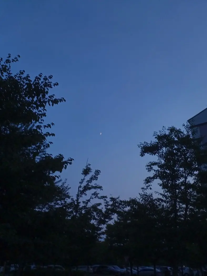 NiceGirl0420의 믿었던 친구가 정부군의 스파이였다..