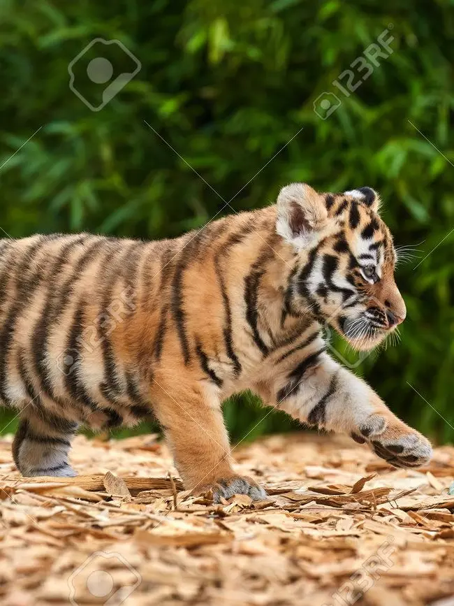 Moonlit_Azure_sea.의 막내야, 그런 건 배우면 안되지요?