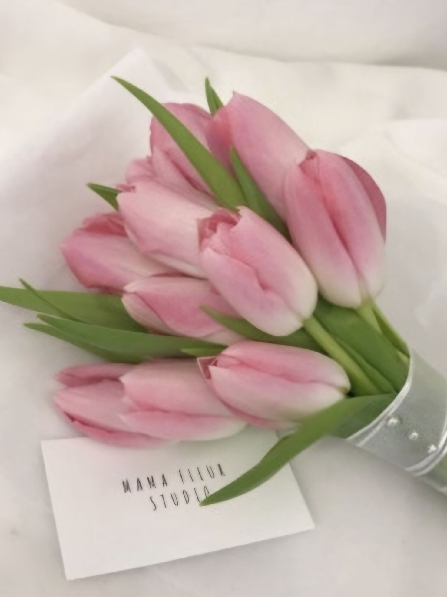 처음만든 플롯 여우 빼보기 > < 대표 이미지