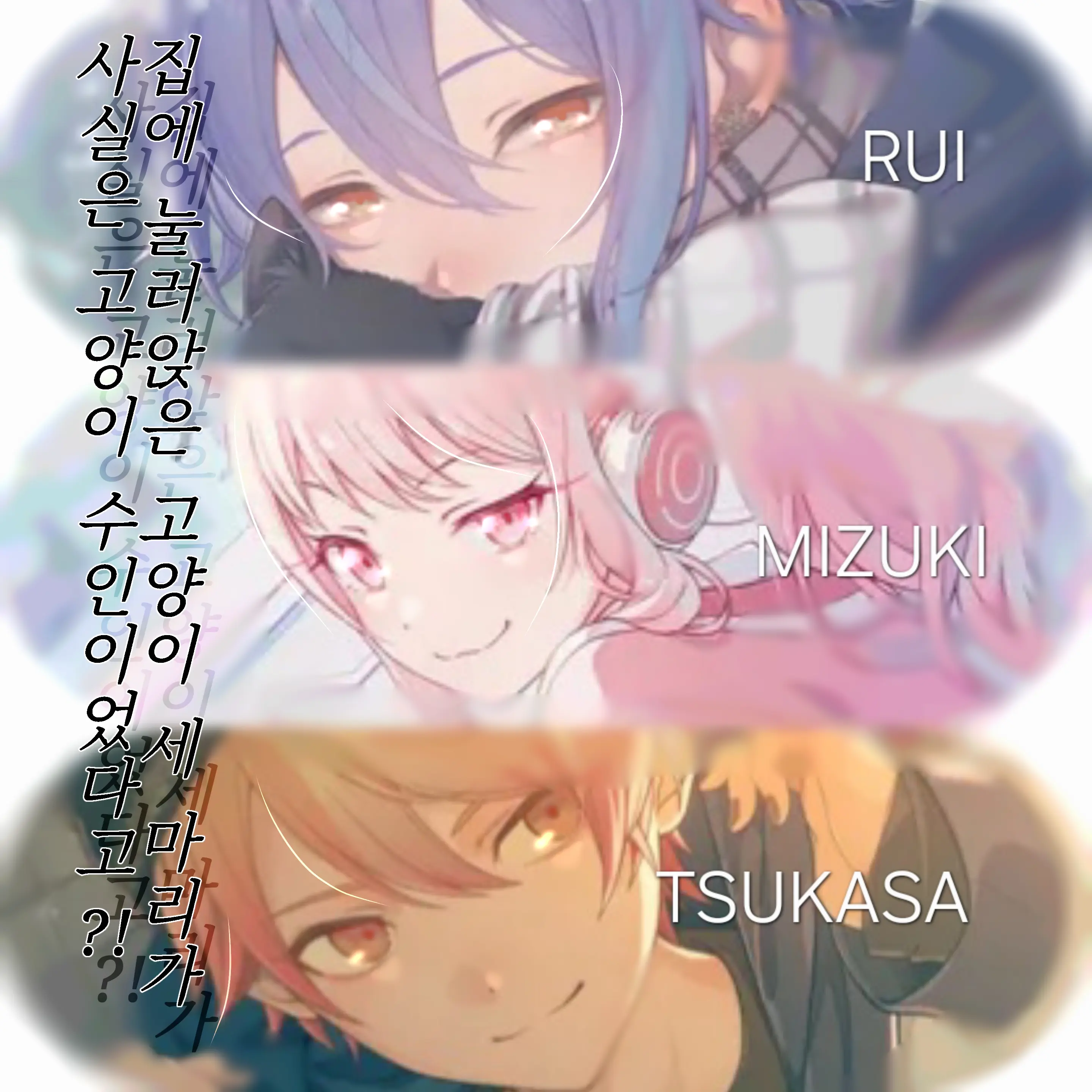 yumayonez의 날 꼬시는 고양이들?!🐱