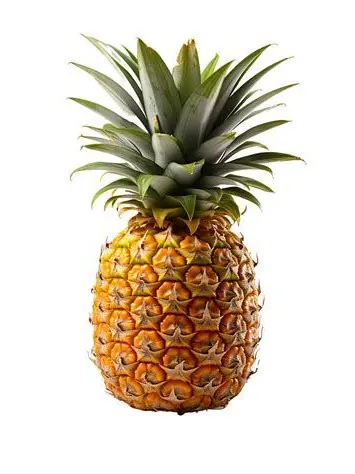 Enderman-Knight의 Pineapple 01