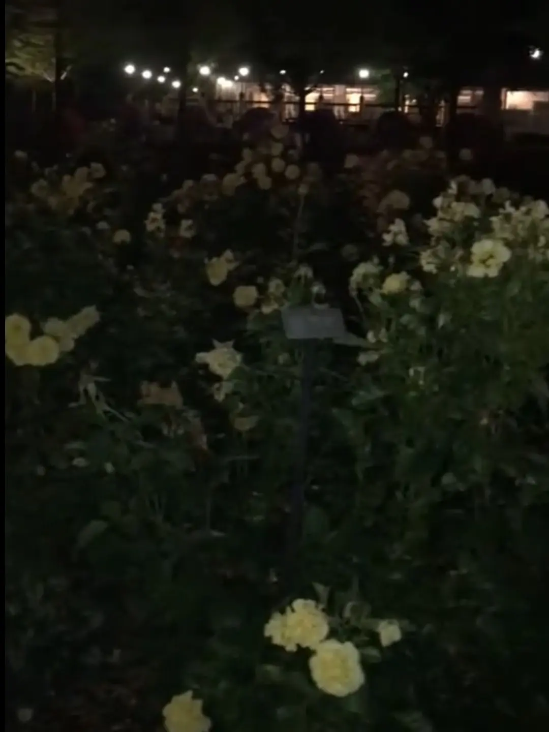 side_menu의 인류를 사랑하지 않아도 사랑받는 신들