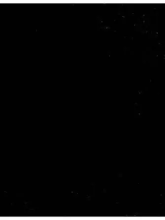 SpicyBongo8524의 魔法少女の一一人