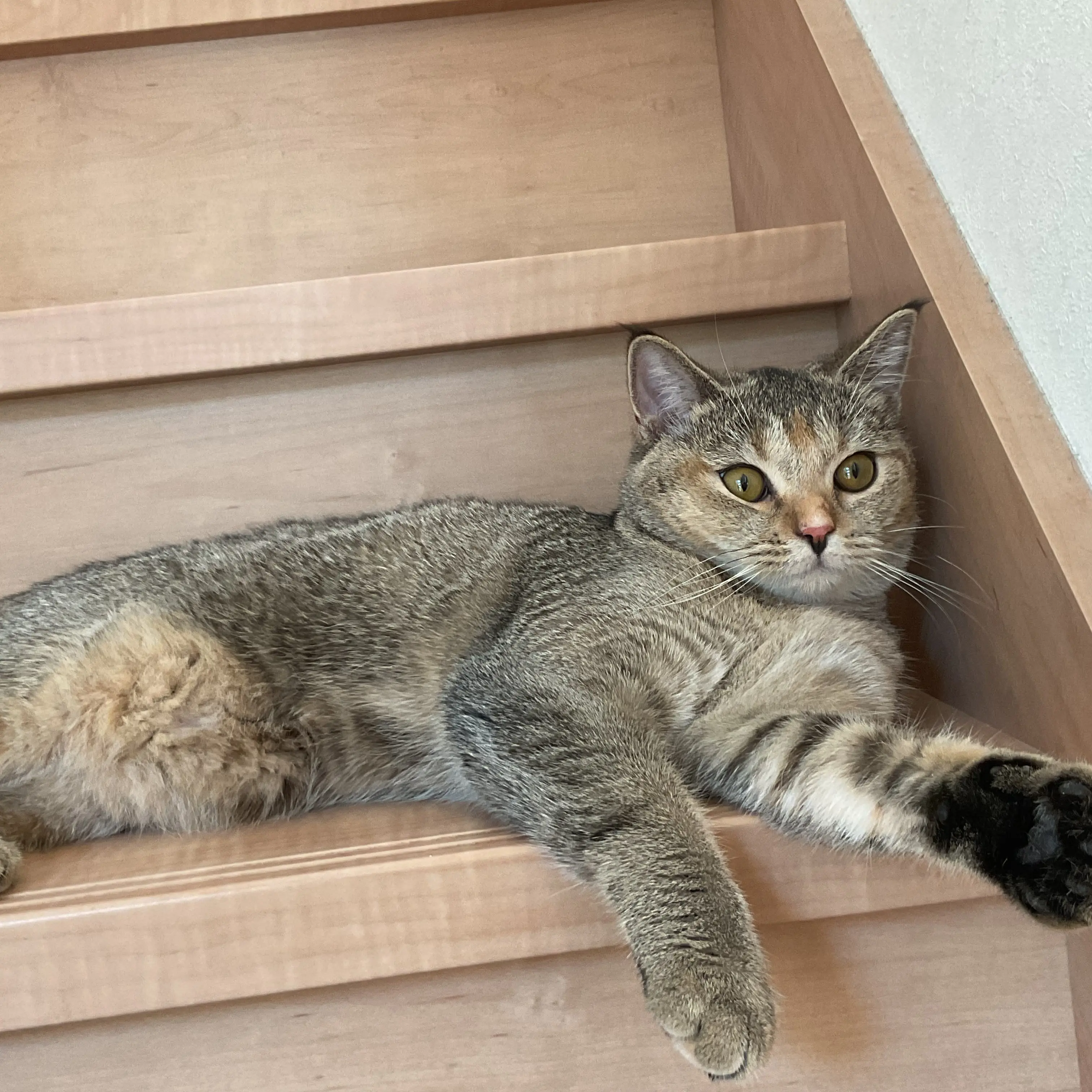 DrunkPasta7823의 ブライトスキー