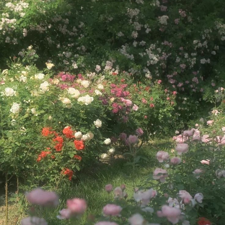 이용복 대표 이미지