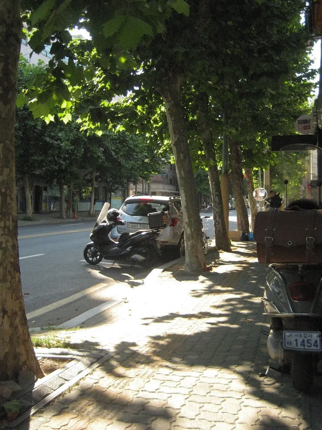 NewFlame1552의 샄숀