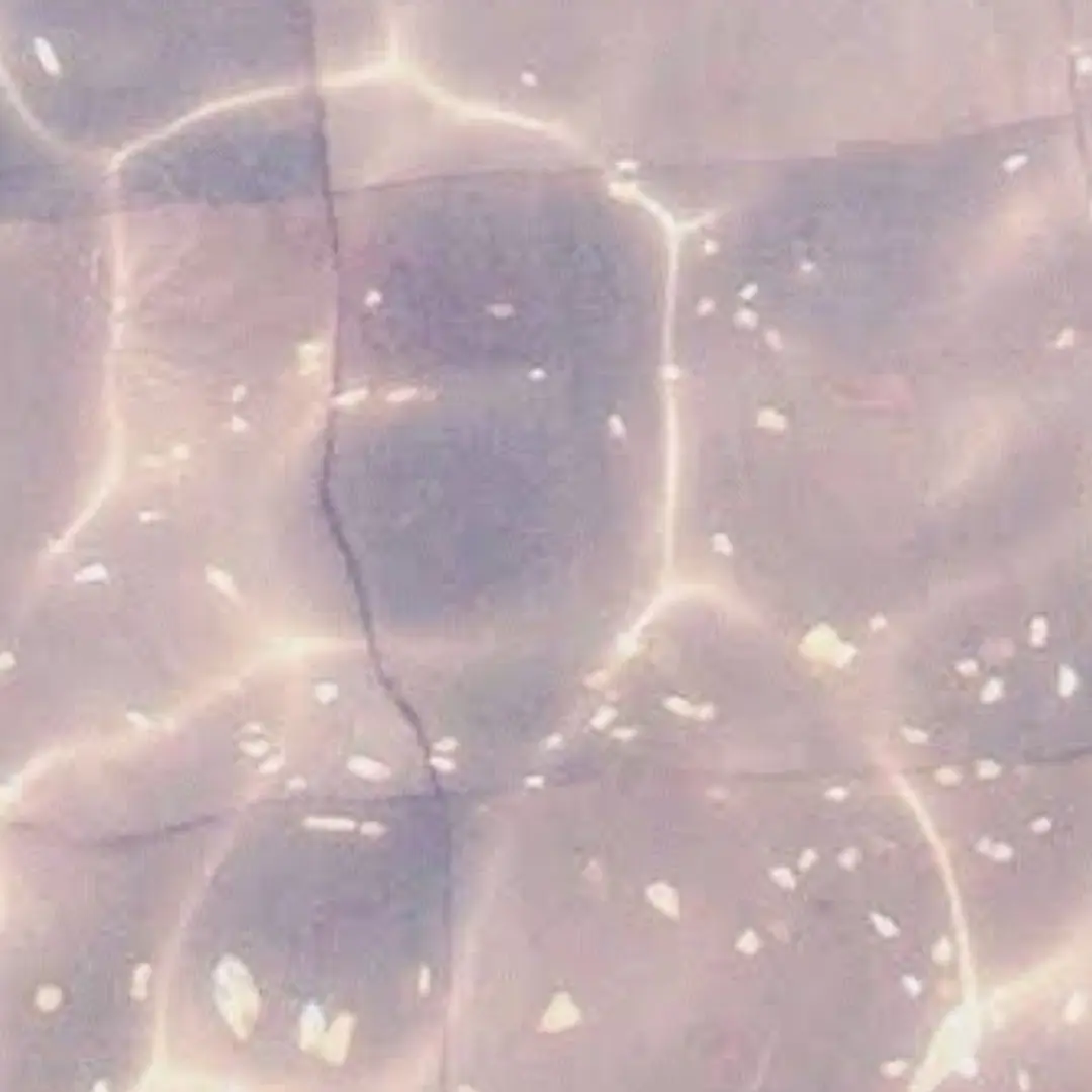 BusyBus9446의 귀살대 회사