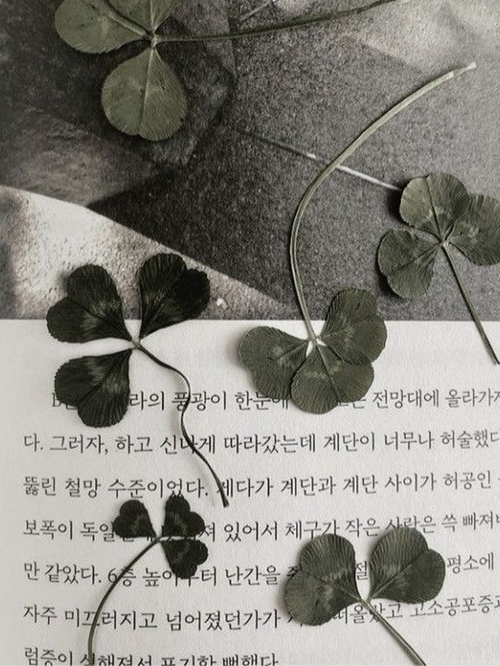 Arcana 대표 이미지