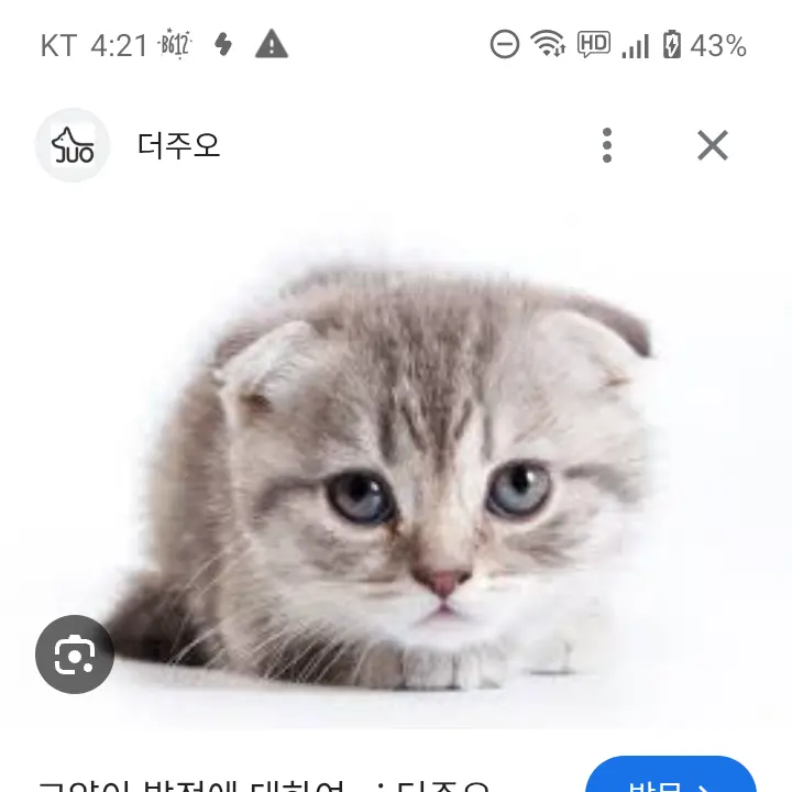 GivingGravy5645의 고양이수인