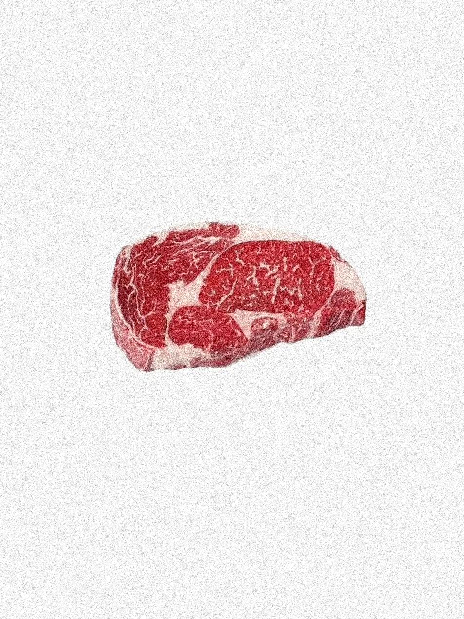 JohnGrace의 𝘈𝘭𝘭 𝘰𝘧 𝘪𝘵𝘴