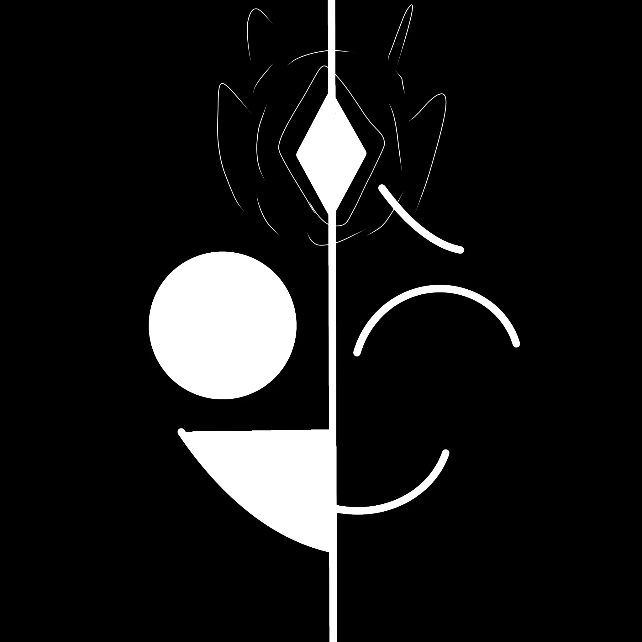 SubtleHost2958의 나의 유일한 빛.
