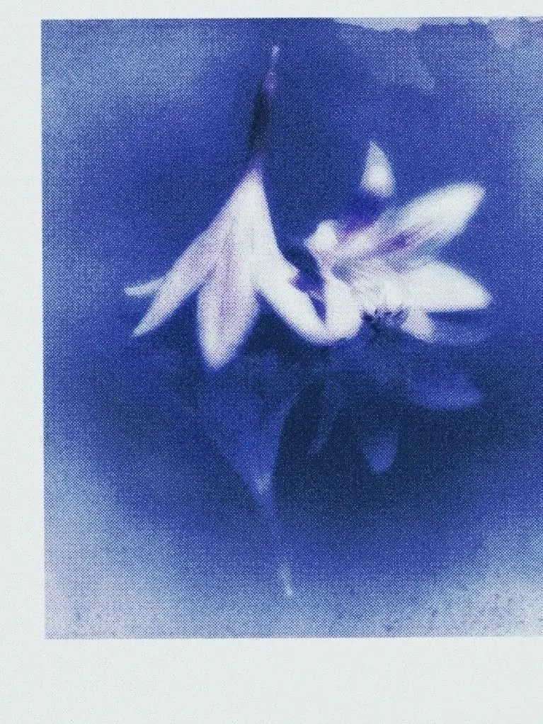 decadent.romantic의 ­­ ­­