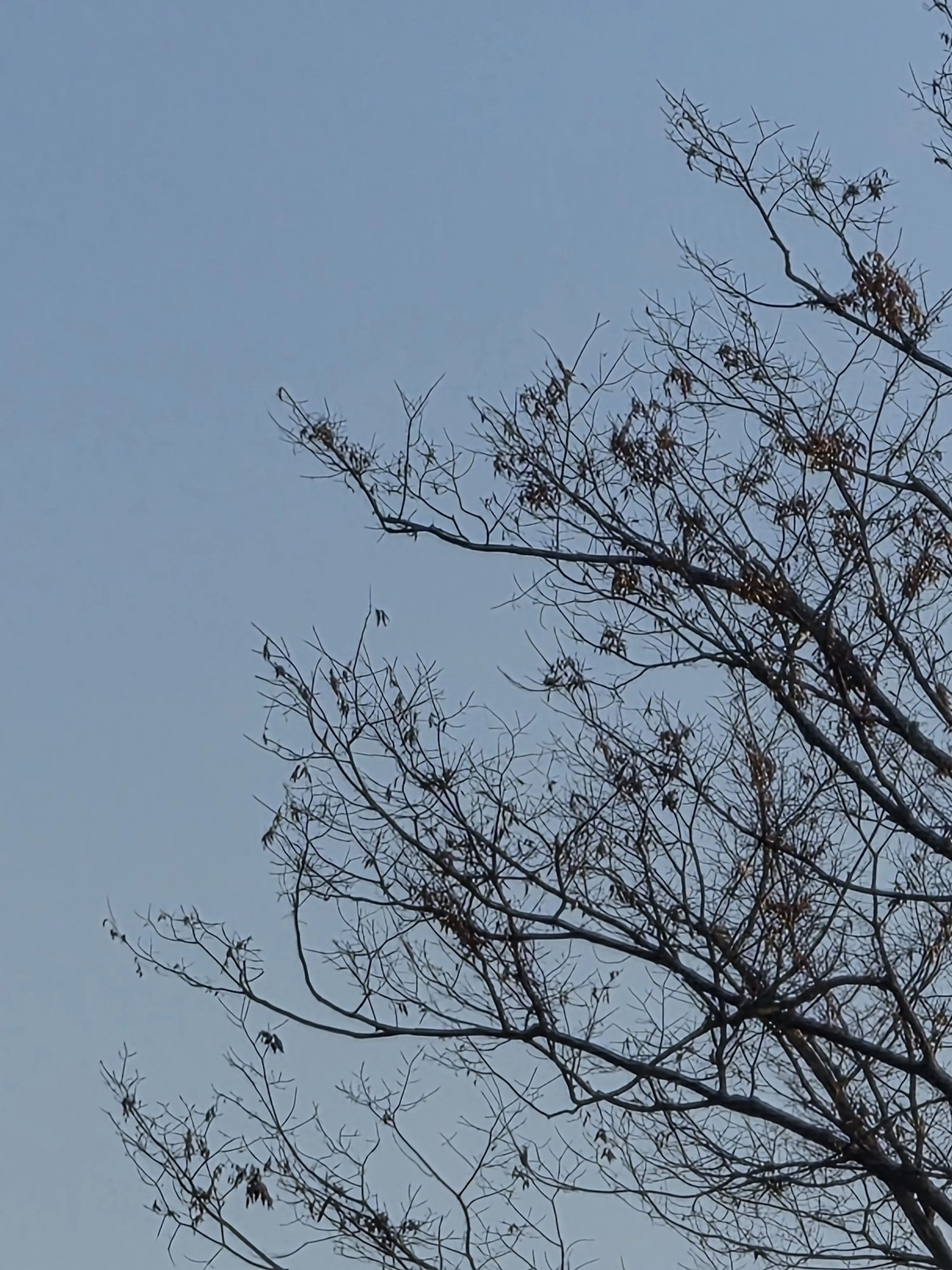 SoggyShow7564의 턴지로가 수배됐다!어떻할것인가?