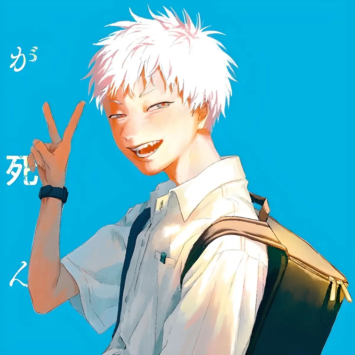 lostlight_kirara의 ヒカルが知らないナニカ