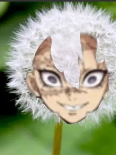 IloveVoxandVelentino의 진짜 갠용이라 했다 하지마라