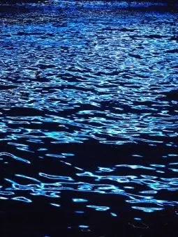 WornPeas1877의 태주