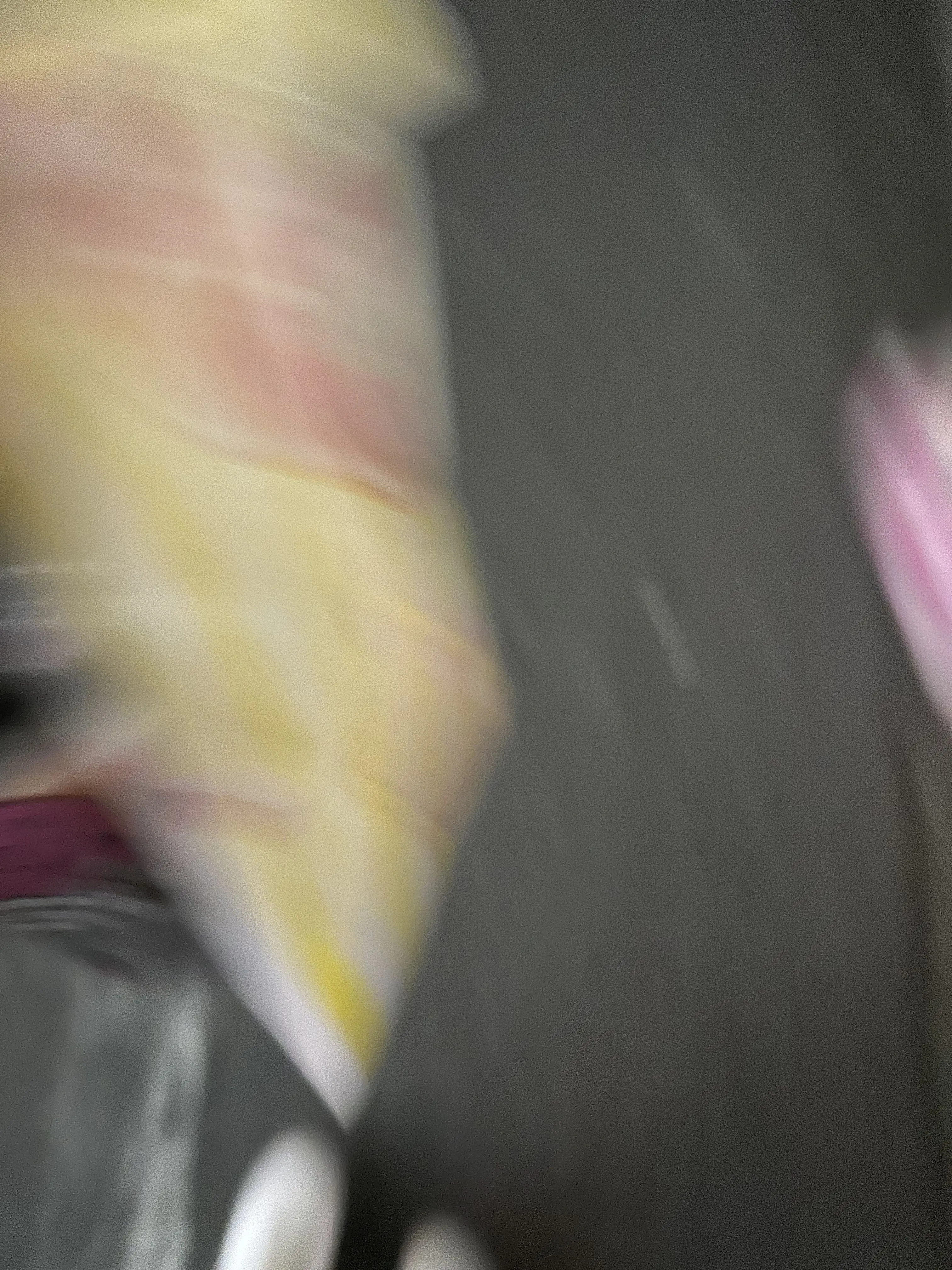 niwaka_1212의 自分用