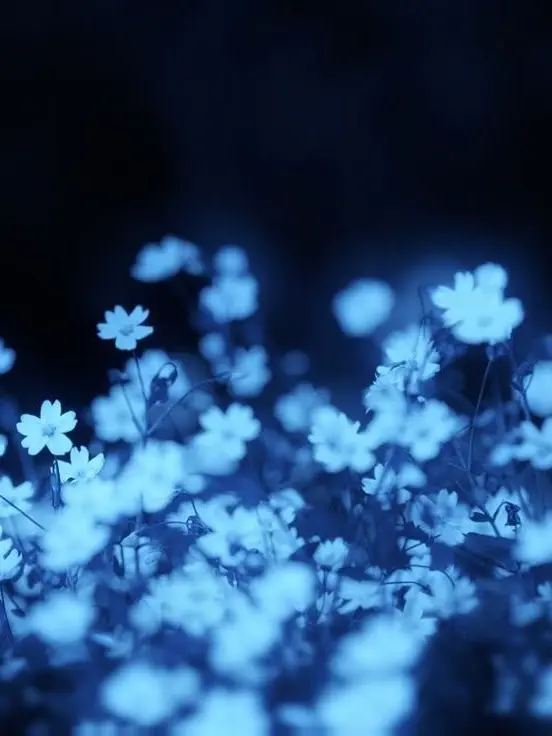 Worshipsleepground1004의 미스터리 수사반 -잠뜰편-