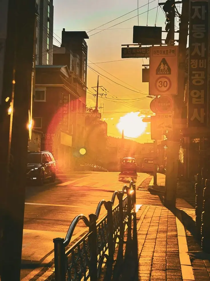 evenifisayit의 송철우