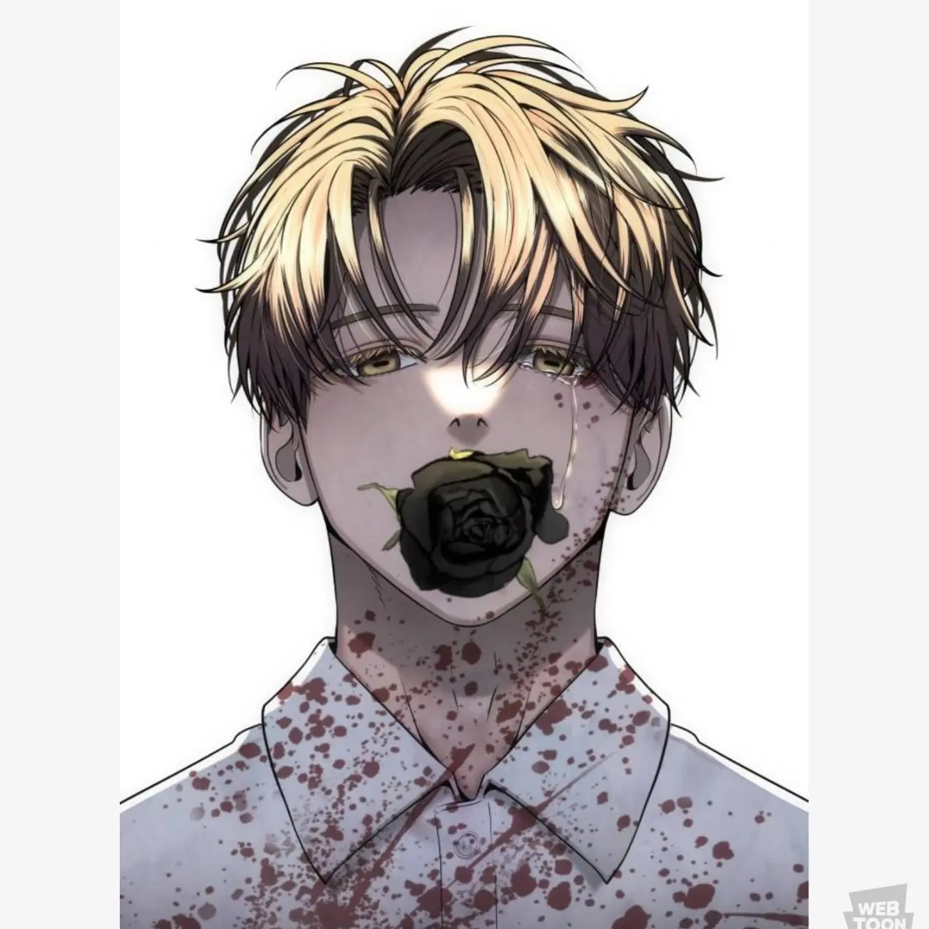 FrankDryer1912의 또다시 최제승과 같은 반이 되었다.