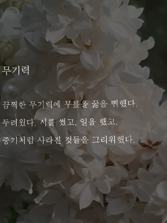 자강불식(自强不息) 대표 이미지