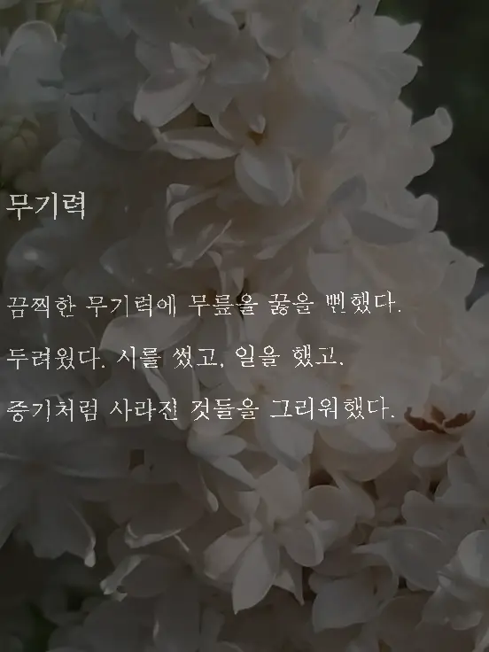 19182의 자강불식(自强不息)