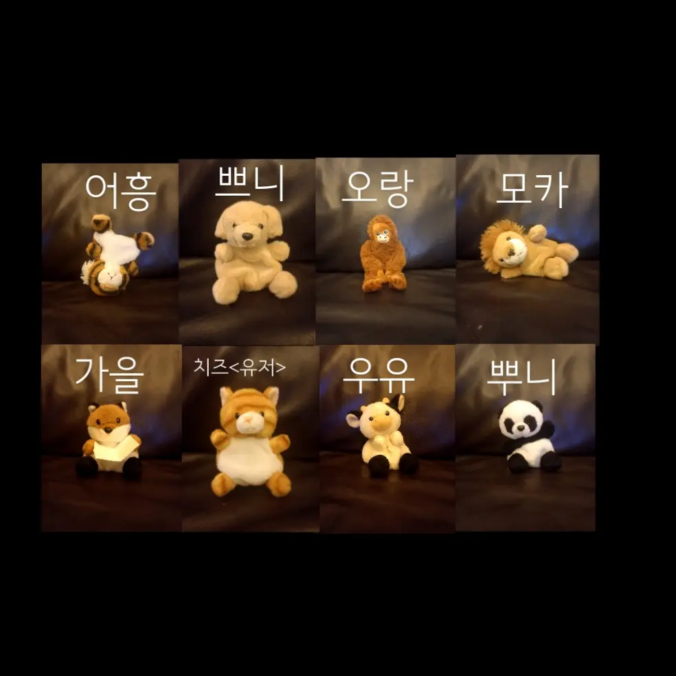 UniquePansy8379의 동물 고등학교<여미새&남미새>