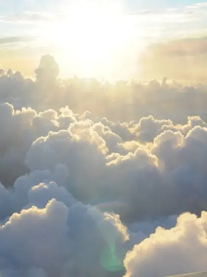 AsIplease028의 얘/얘네랑 친구!? 절대 무리!!!!