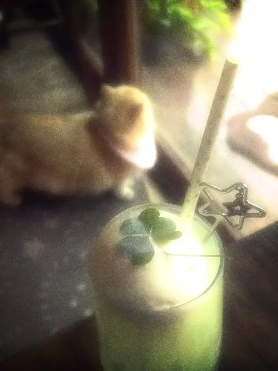 ._x.nn의 —