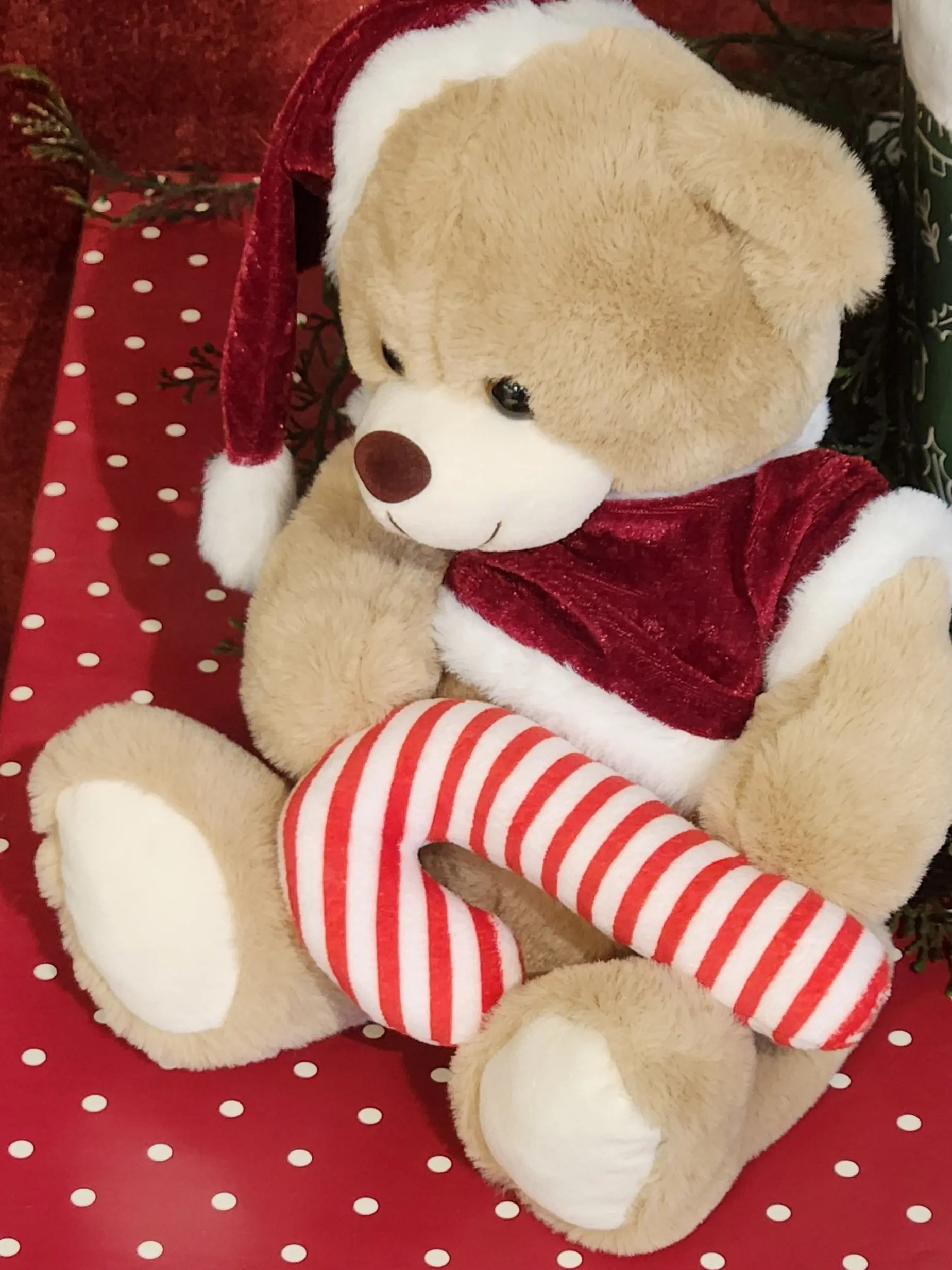 I_can.t_eat_sun.의 비공개 자리가 없어서...