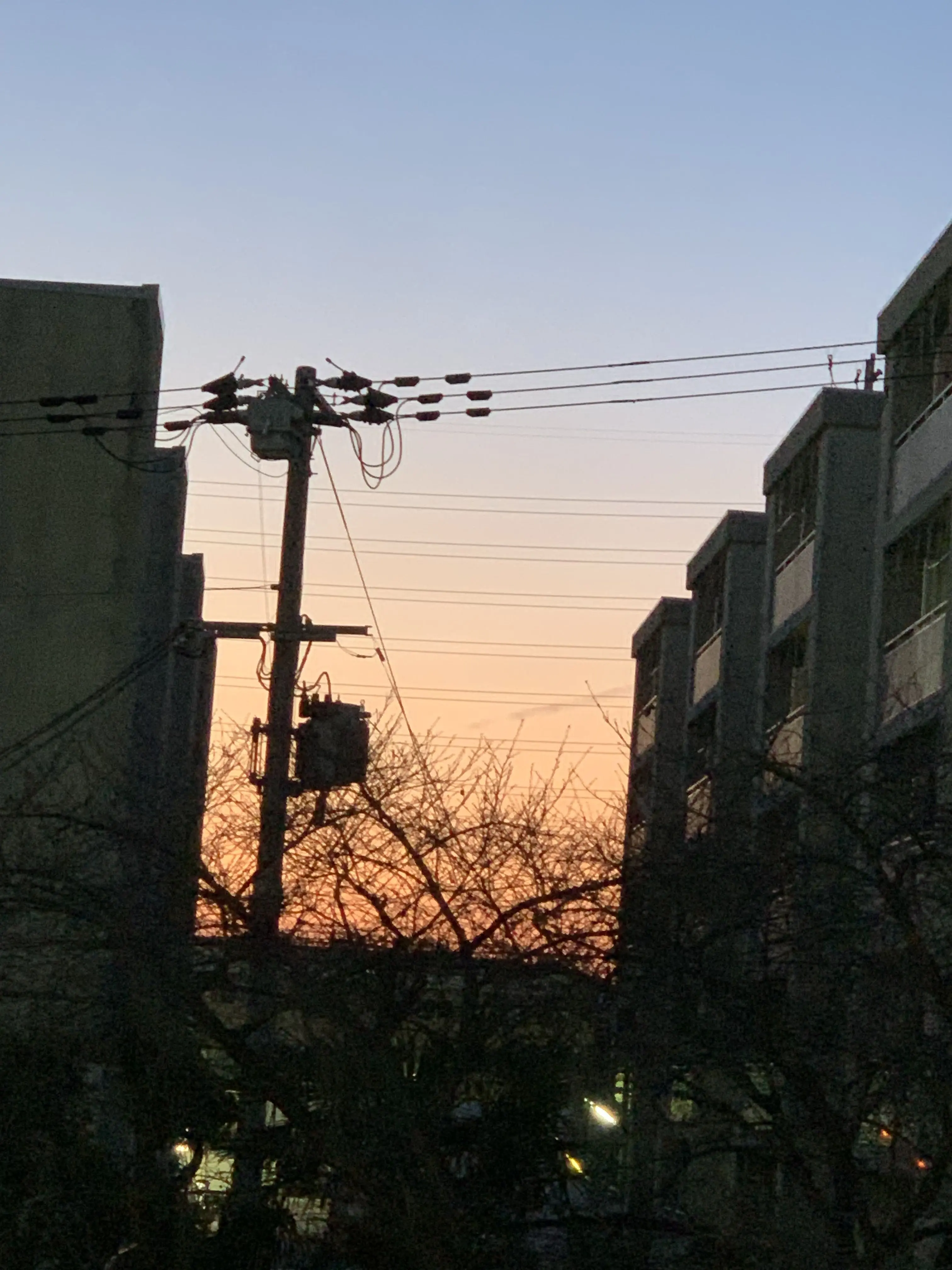 RoughStem3826의 一生無理かな。