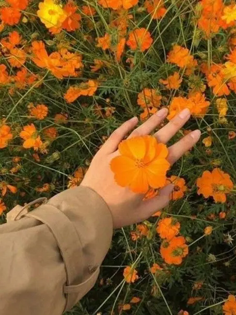 OrangeDebt2183의 왕따 픽셀리