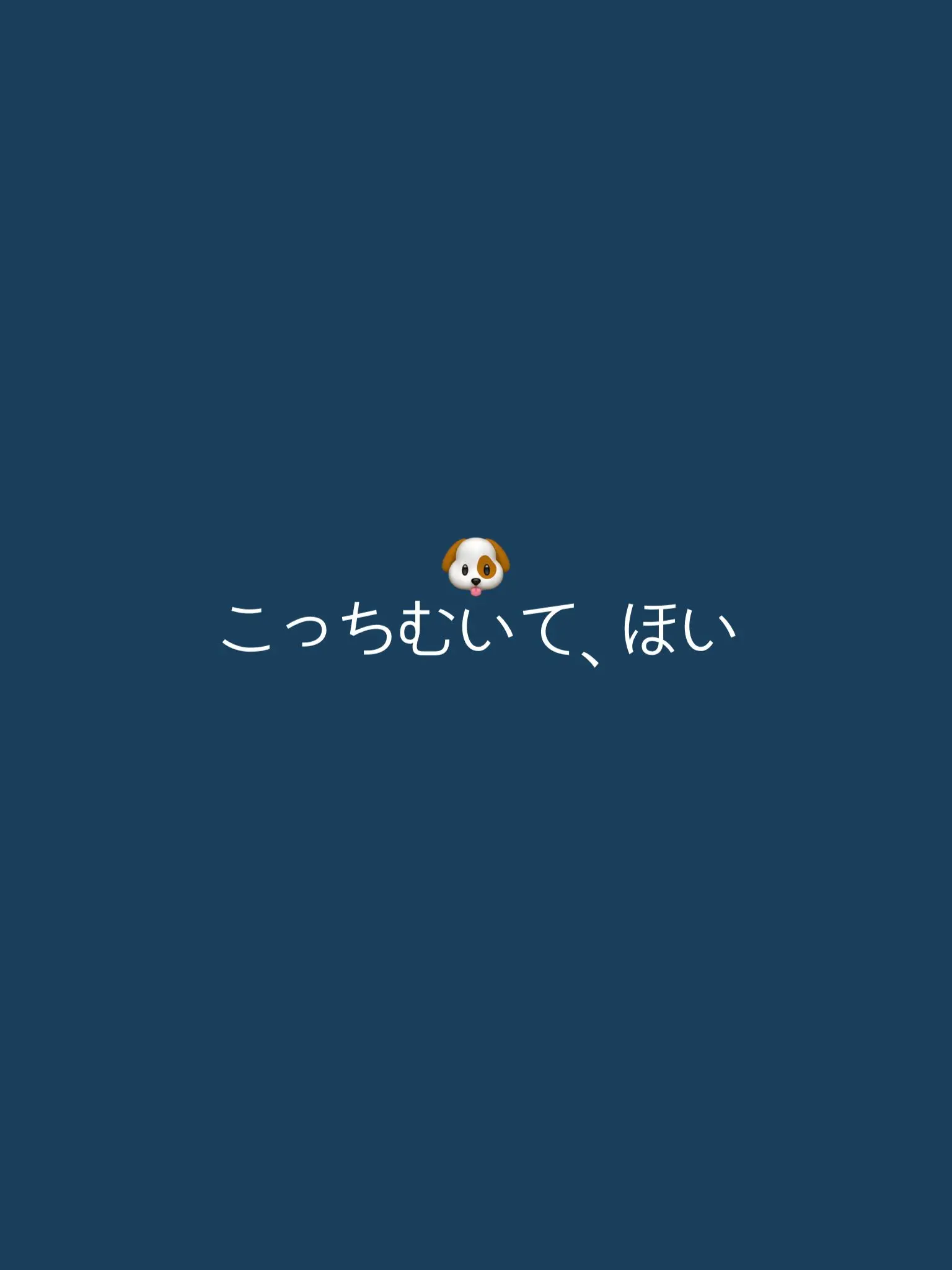 BossyZorse9478의 こっちむいて、ほい