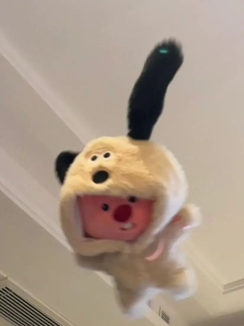 y_cn.0의 실수로 소멸과 같이 자버렸다..
