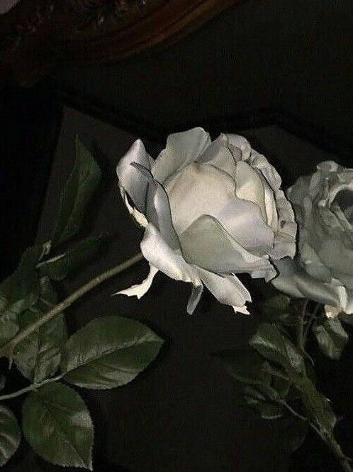 유 지 민 대표 이미지