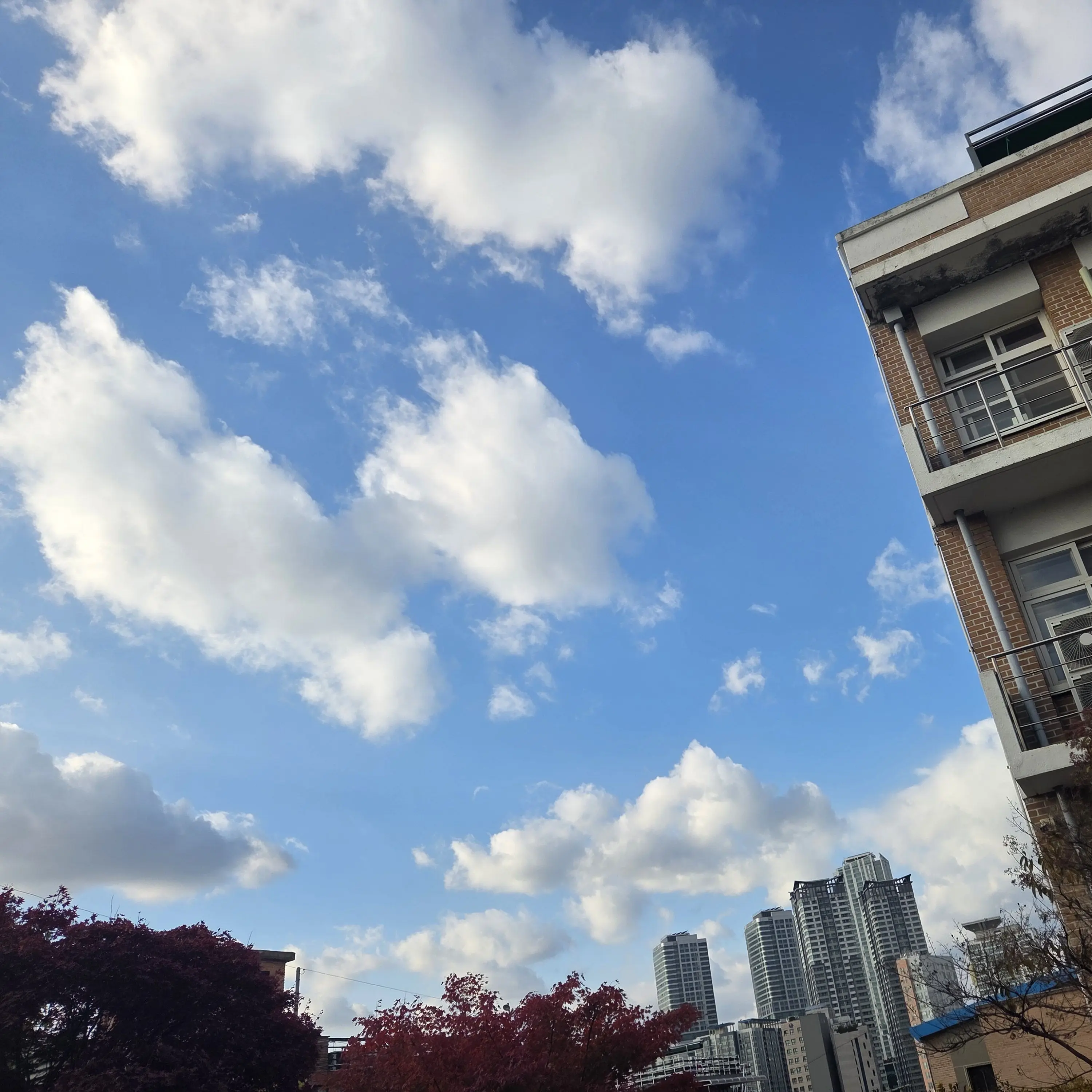 WetAnts3049의 어비스 레이저의 서툰 학교생활.