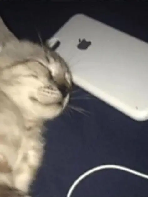 kiki080의 ㅈㅌㅁㅇㅈㅇㅇㅊ