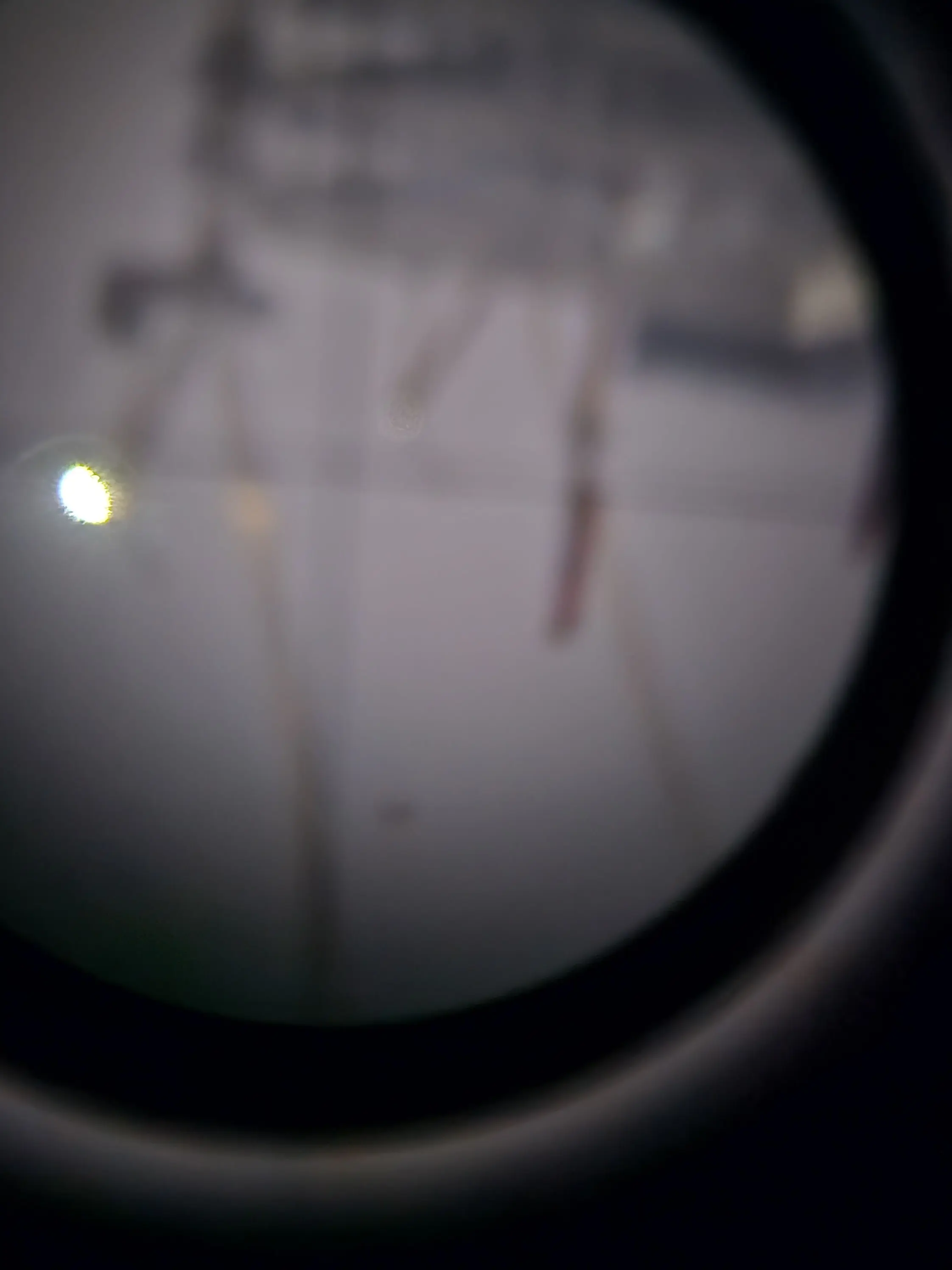 ishdbf의 귀칼 태권도 품세선수부