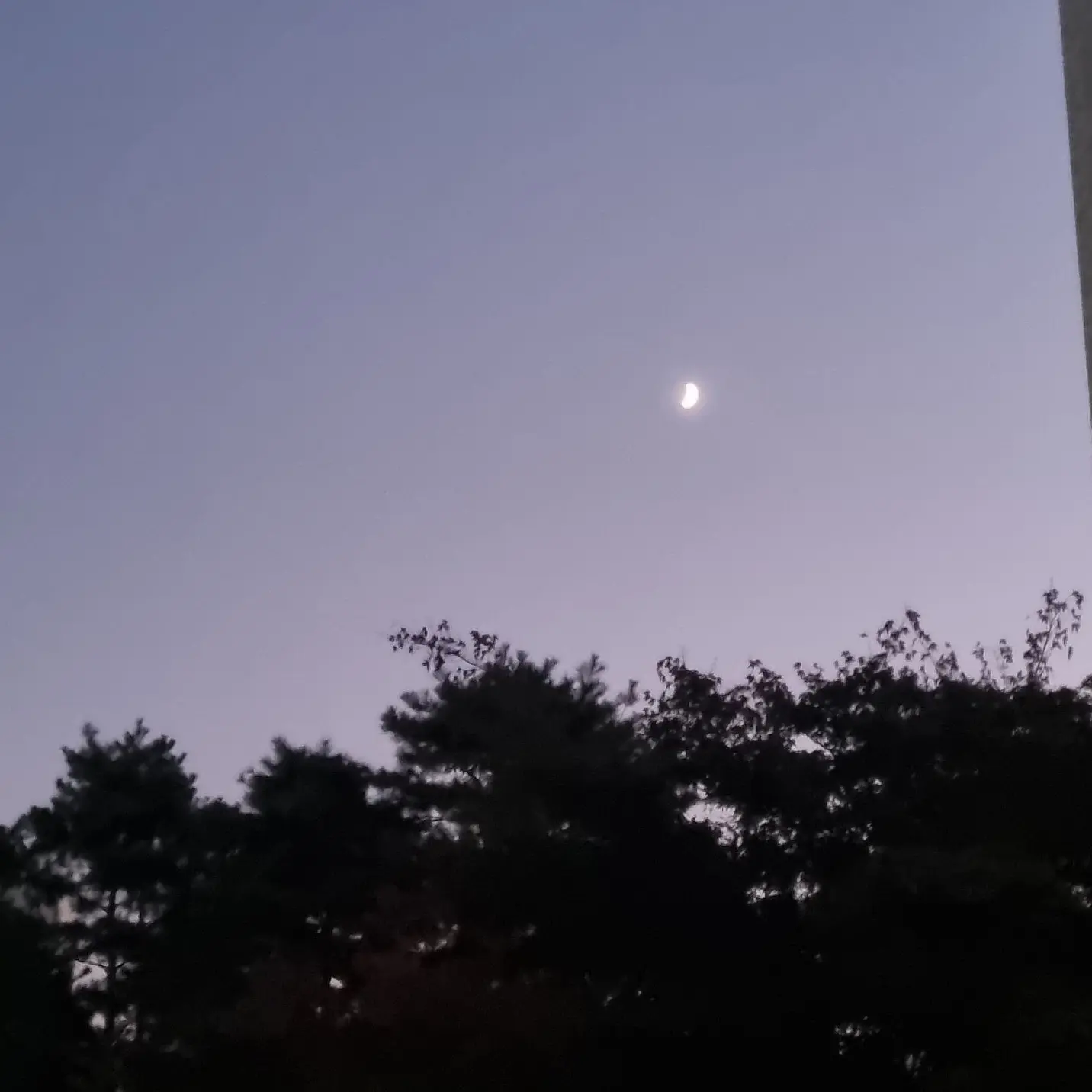 blue_sun_white_moon의 손목