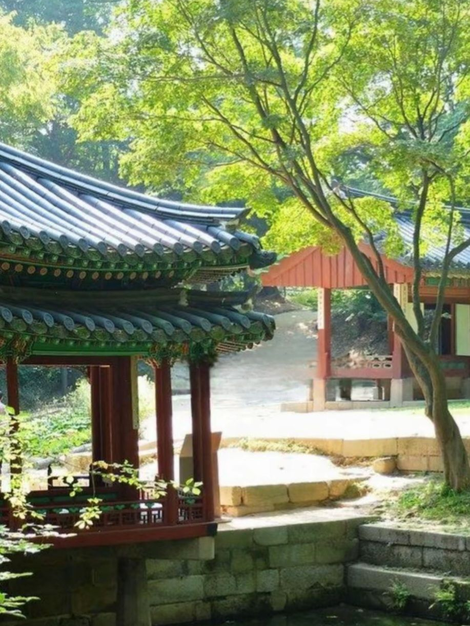 인연의 시작 대표 이미지