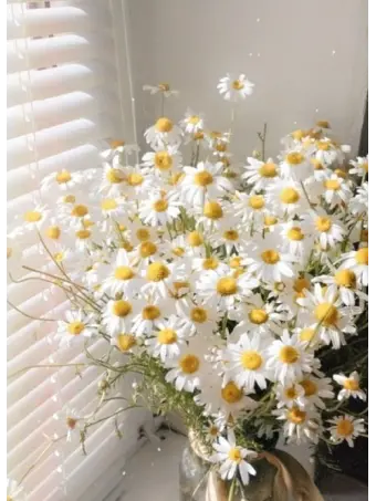 LovedCable2913의 진실 혹은 대담