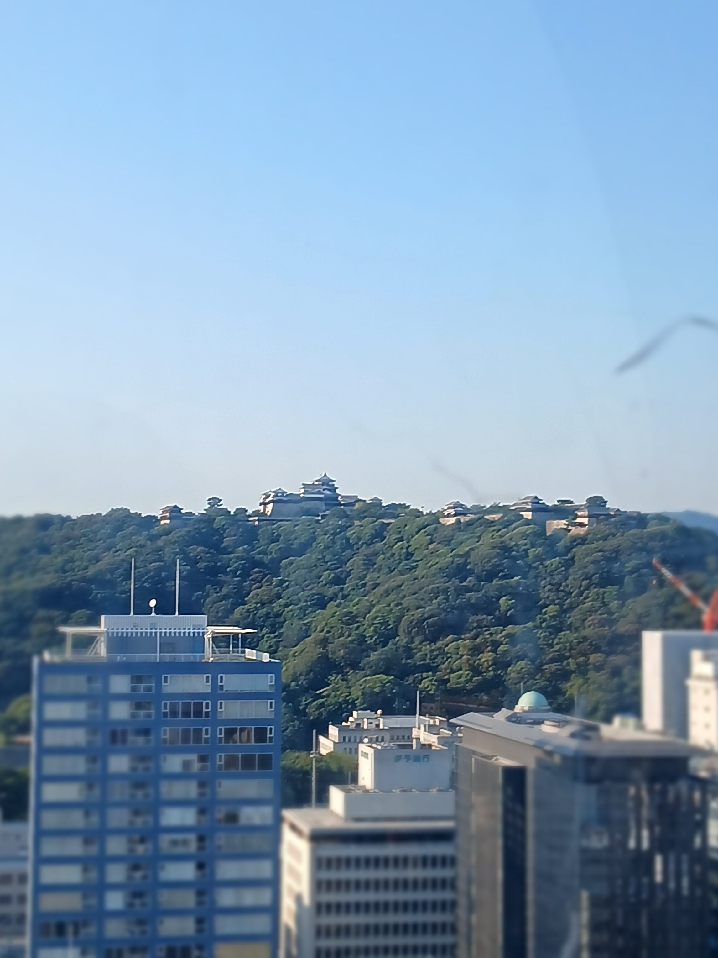 백지헌 대표 이미지