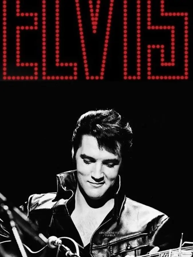 Sungamin286의 Elvis Presley