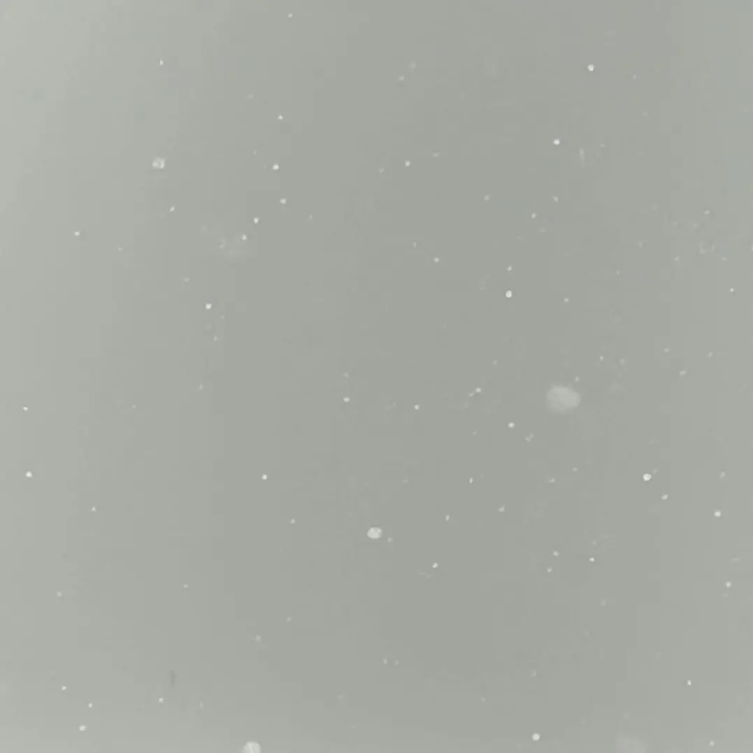 ShrillLedge6531의 멍재현