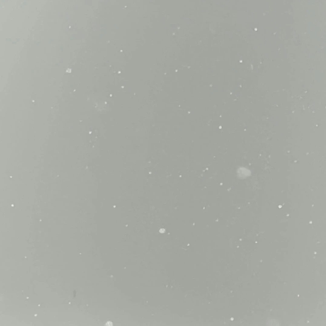 멍재현