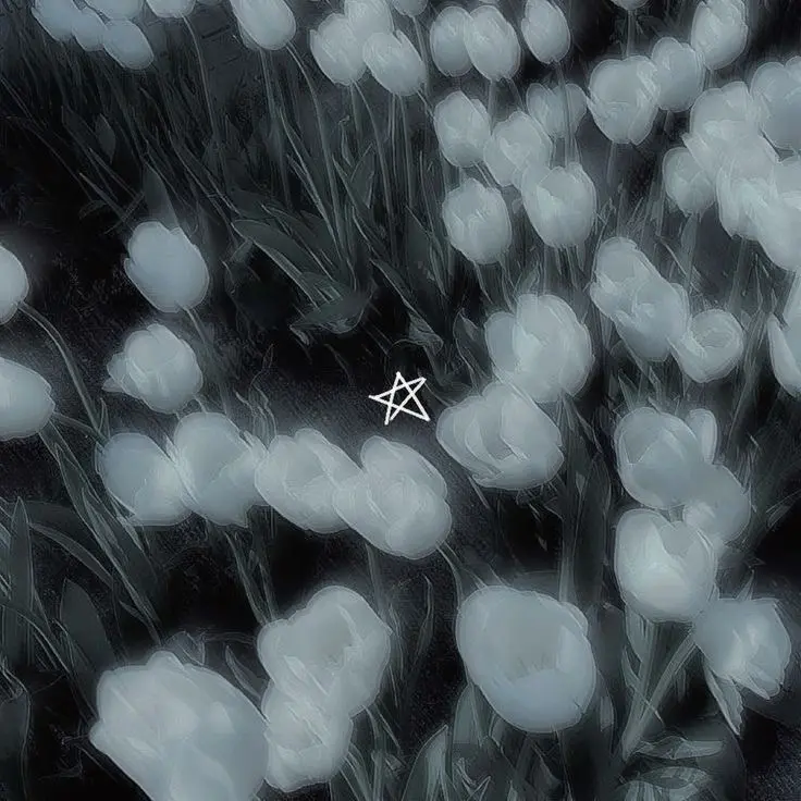 tintin_10241117의 Trauma