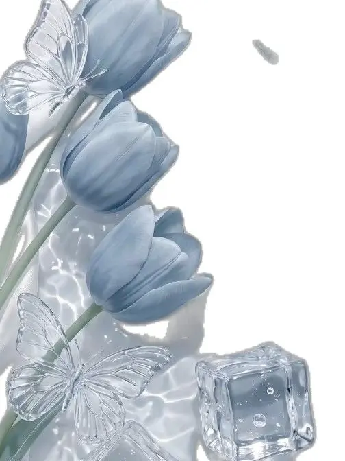 WarmBasil4665의 White Rose