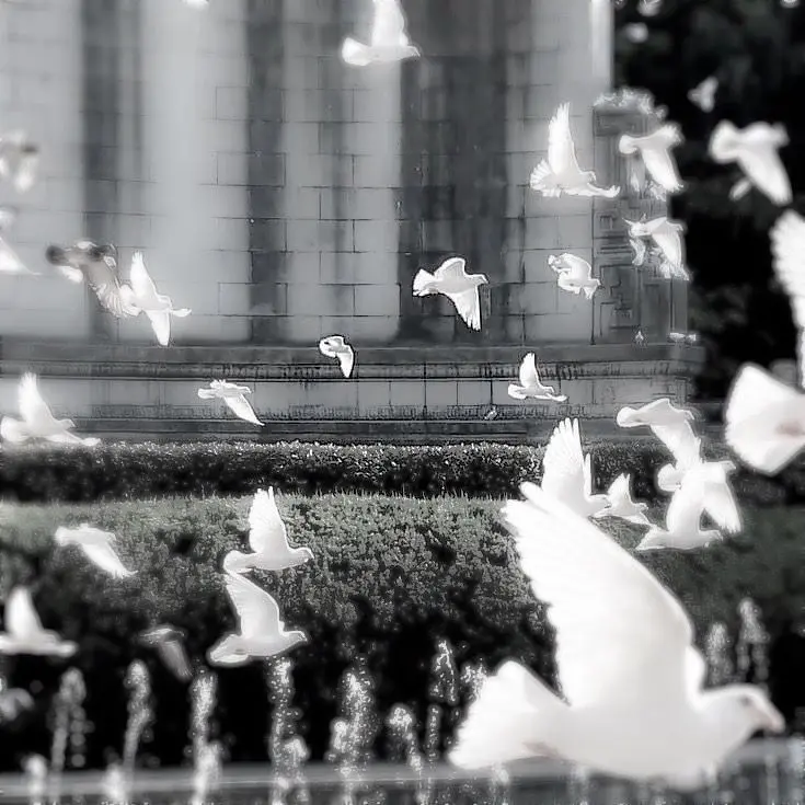 avocadofromtheMexico의 skeleton flower