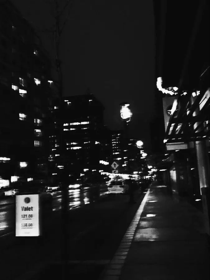 plant___0x0의 有名な不良の二人組